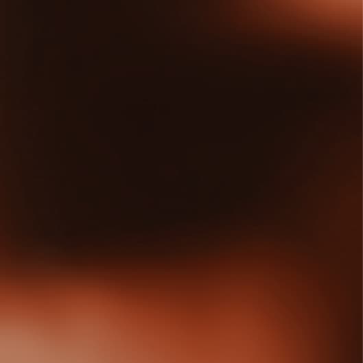 Black Friday Membership